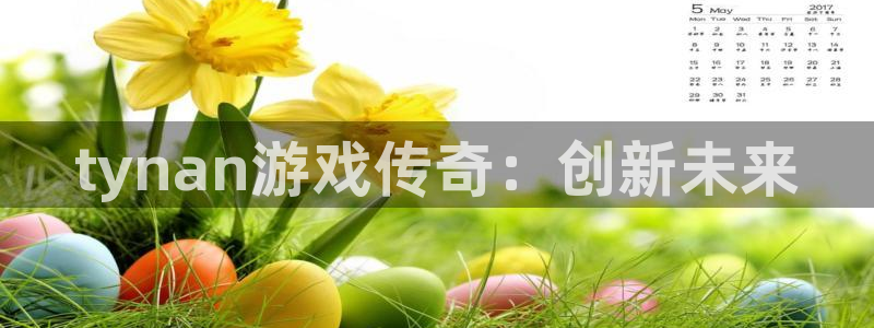 bg大游集团是什么企业：tynan游戏传奇：创新未来
