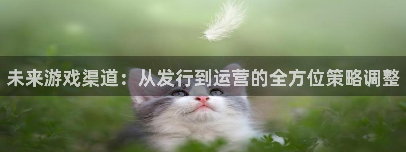 bg大游子文化是什么：未来游戏渠道：从发行到运营的全方位策略调整