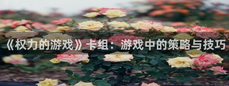 bg大游有什么寓意