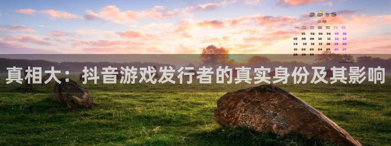 bg大游子市值：真相大：抖音游戏发行者的真实身份及其影响