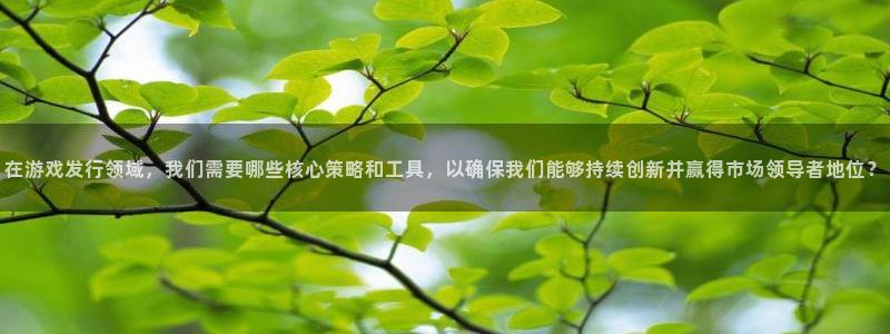 bg大游官网注册平台合法吗?：在游戏发行领域，我们需要哪些核心策略和工具，以确保我们能够持续创新并赢得市场领导者地位？