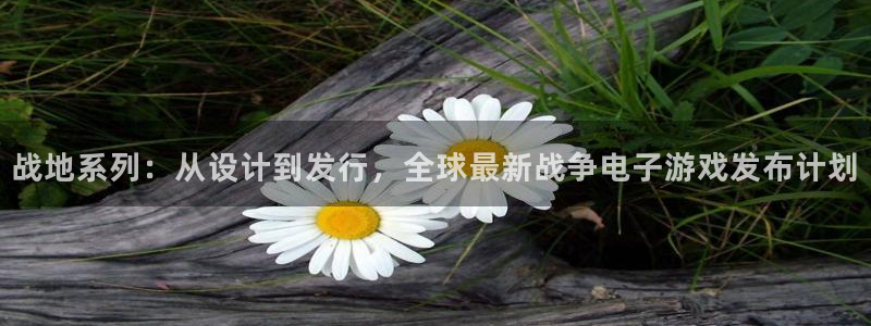 bg大游子公司怎么样可靠吗：战地系列：从设计到发行，全球最新战争电子游戏发布计划