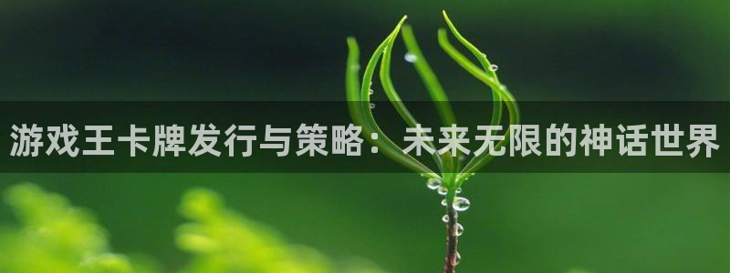 bg大游官网登录注册：游戏王卡牌发行与策略：未来无限的神话世界