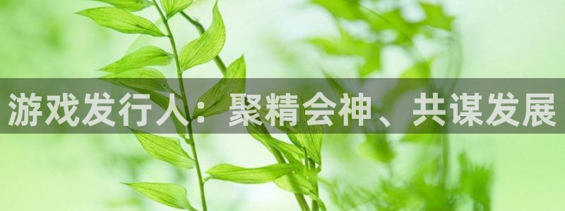 bg大游官网的奇趣腾讯是真的吗：游戏发行人：聚精会神、共谋发展