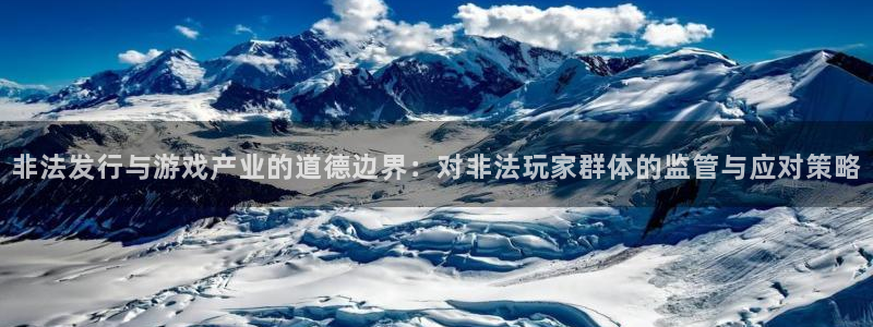bg大游子猫图片：非法发行与游戏产业的道德边界：对非法玩家群体的监管与应对策略