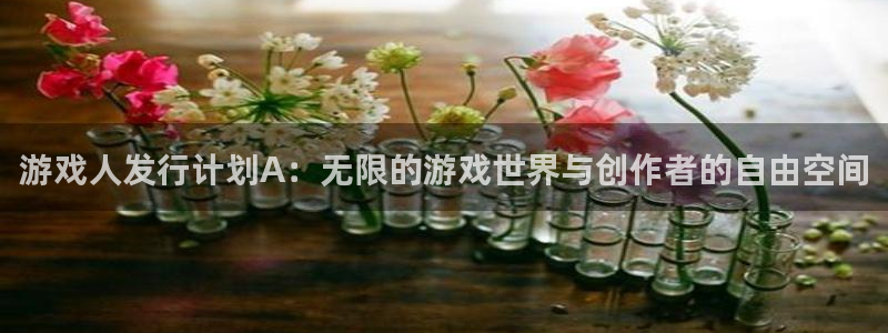 法国bg大游：游戏人发行计划A：无限的游戏世界与创作者的自由空间