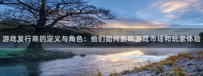 bg大游官网注册方法是什么：游戏发行商的定义与角色：他们如何影响游戏市场和玩家体验