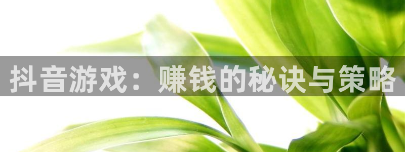 bg大游官网代理开号平台：抖音游戏：赚钱的秘诀与策略