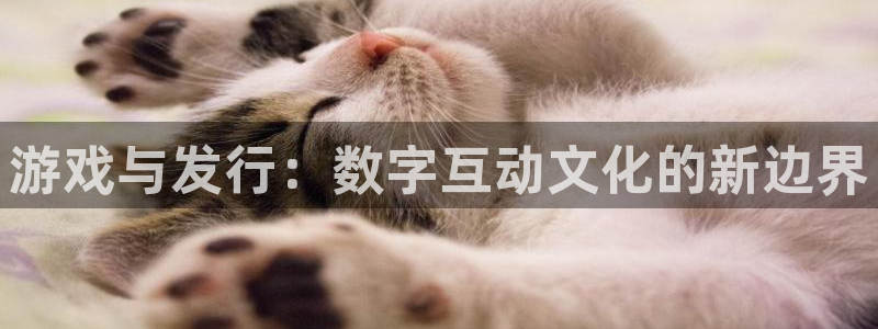 bg大游子酒业：游戏与发行：数字互动文化的新边界