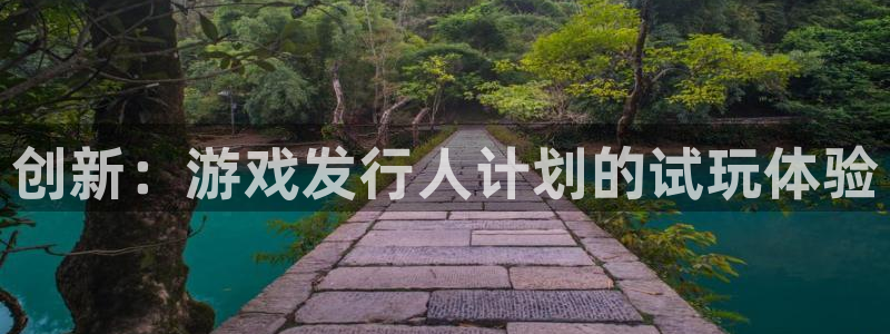bg大游仓储中心：创新：游戏发行人计划的试玩体验