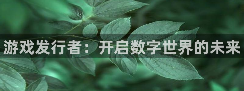 bg大游官网平台代理条件怎么样：游戏发行者：开启数字世界的未来