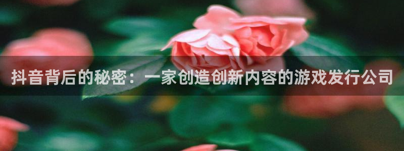 bg大游仓储中心：抖音背后的秘密：一家创造创新内容的游戏发行公司