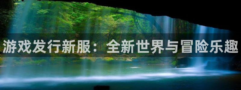 陕西bg大游子文化公司加我qq：游戏发行新服：全新世界与冒险乐趣