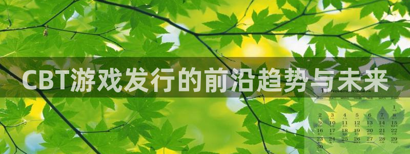 广东bg大游电子商务有限公司电话：CBT游戏发行的前沿趋势与未来