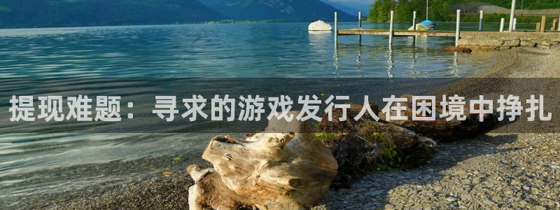 bg大游官网注册方法视频教程：提现难题：寻求的游戏发行人在困境中挣扎