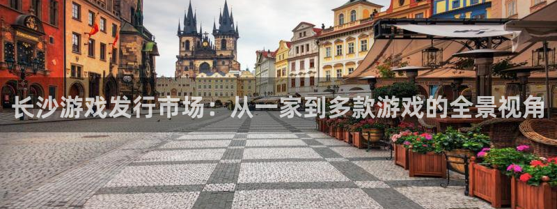 bg大游电子商务有限公司怎么样啊：长沙游戏发行市场：从一家到多款游戏的全景视角