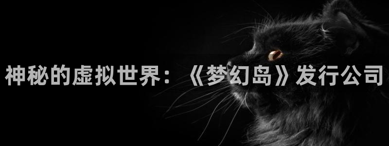 bg大游子经理人：神秘的虚拟世界：《梦幻岛》发行公司