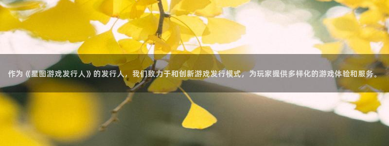 bg大游官网平台招商qq：作为《星图游戏发行人》的发行人，我们致力于和创新游戏发行模式，为玩家提供多样化的游戏体验和服务。