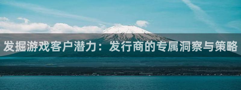 bg大游官网注册平台怎么注册：发掘游戏客户潜力：发行商的专属洞察与策略